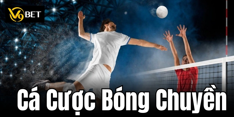 Các loại hình cá cược bóng chuyền thông dụng