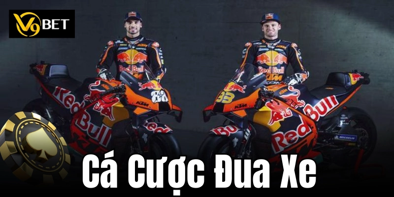 Sự rủi ro khi tham gia cá cược đua xe