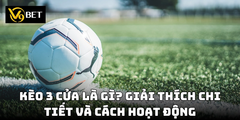 Kèo 3 cửa là gì? Hướng dẫn chi tiết cho người mới!