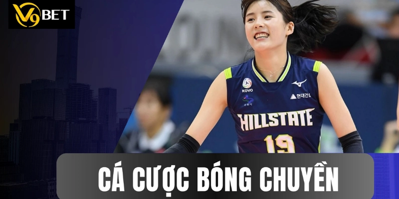Khám phá cá cược bóng chuyền